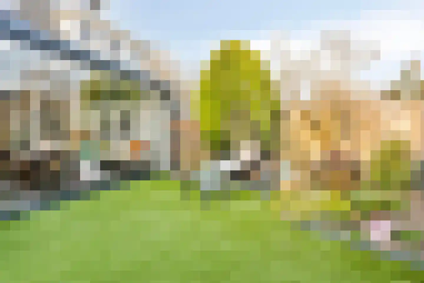 Borselestraat 27 Tilburg thumbnail 41
