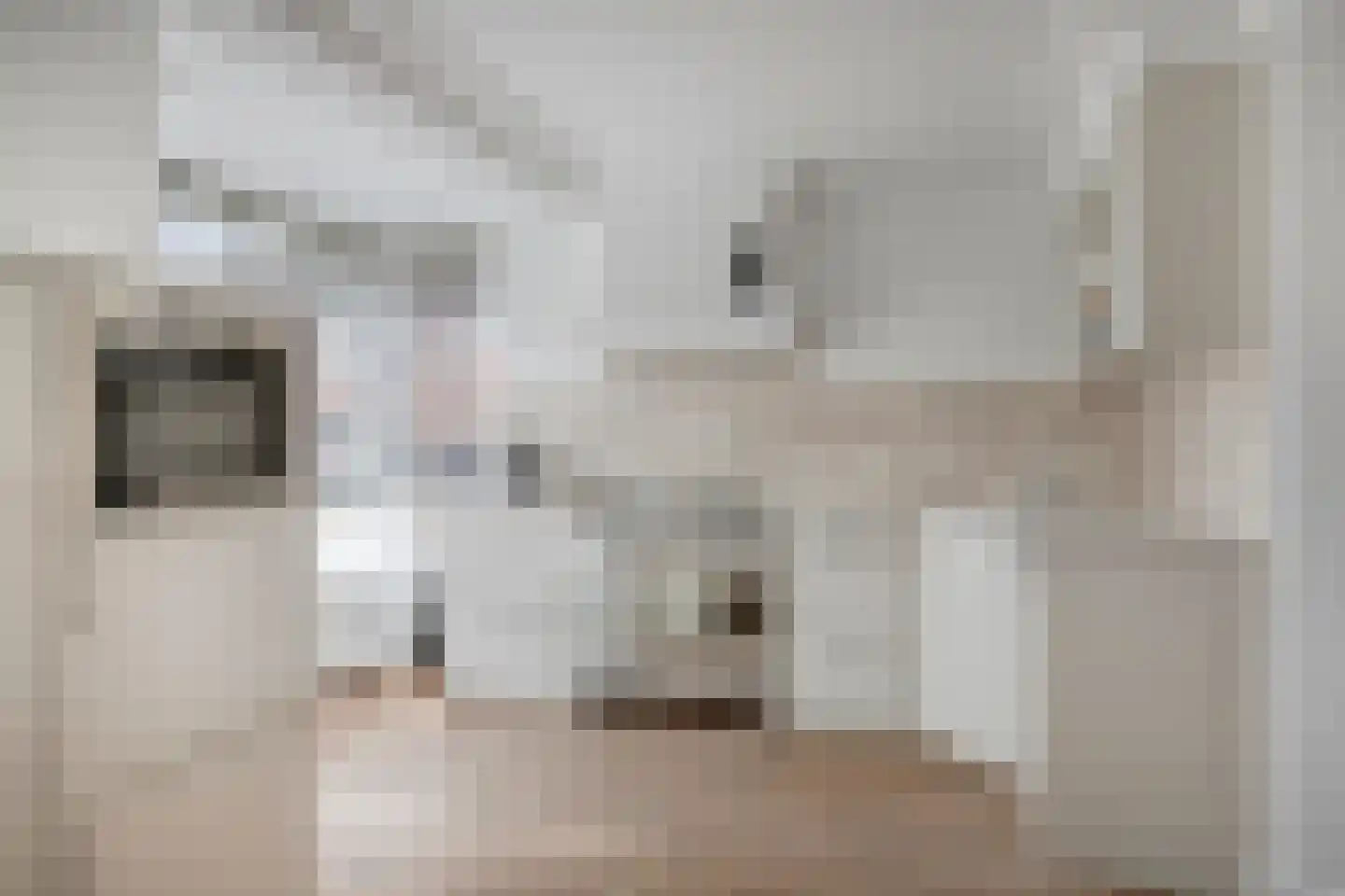 Borselestraat 63 Tilburg thumbnail 19