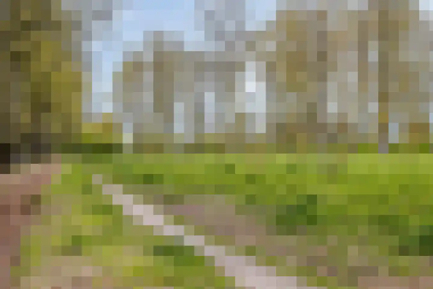 Borselestraat 63 Tilburg thumbnail 47