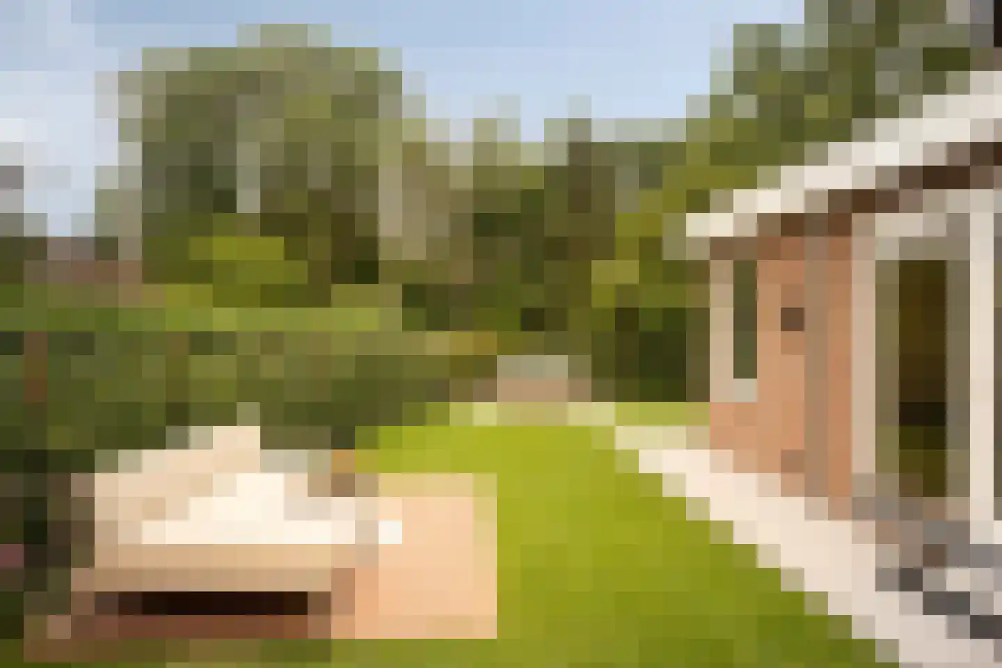 Borssenburg 1 Amstelveen thumbnail 41