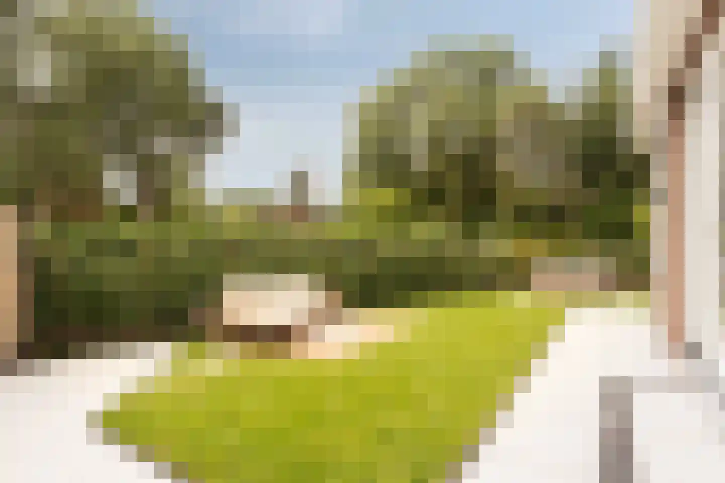 Borssenburg 1 Amstelveen thumbnail 44