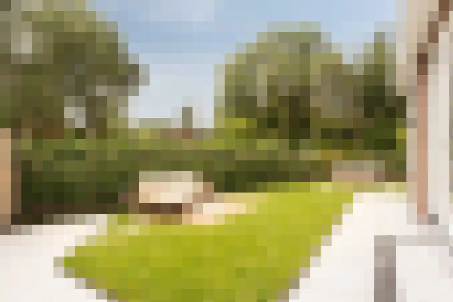 Borssenburg 1 Amstelveen thumbnail 45