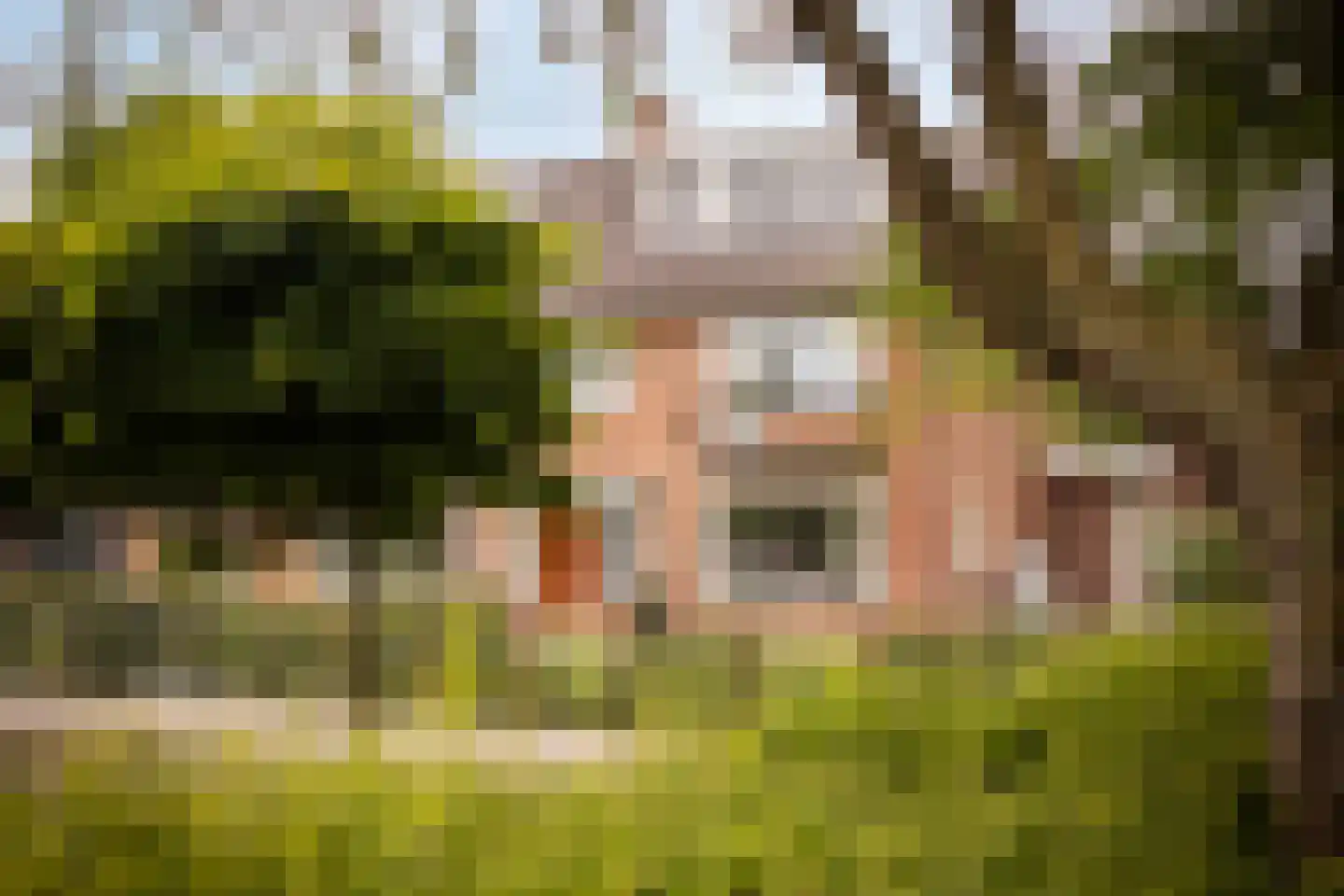 Borssenburg 1 Amstelveen thumbnail 61