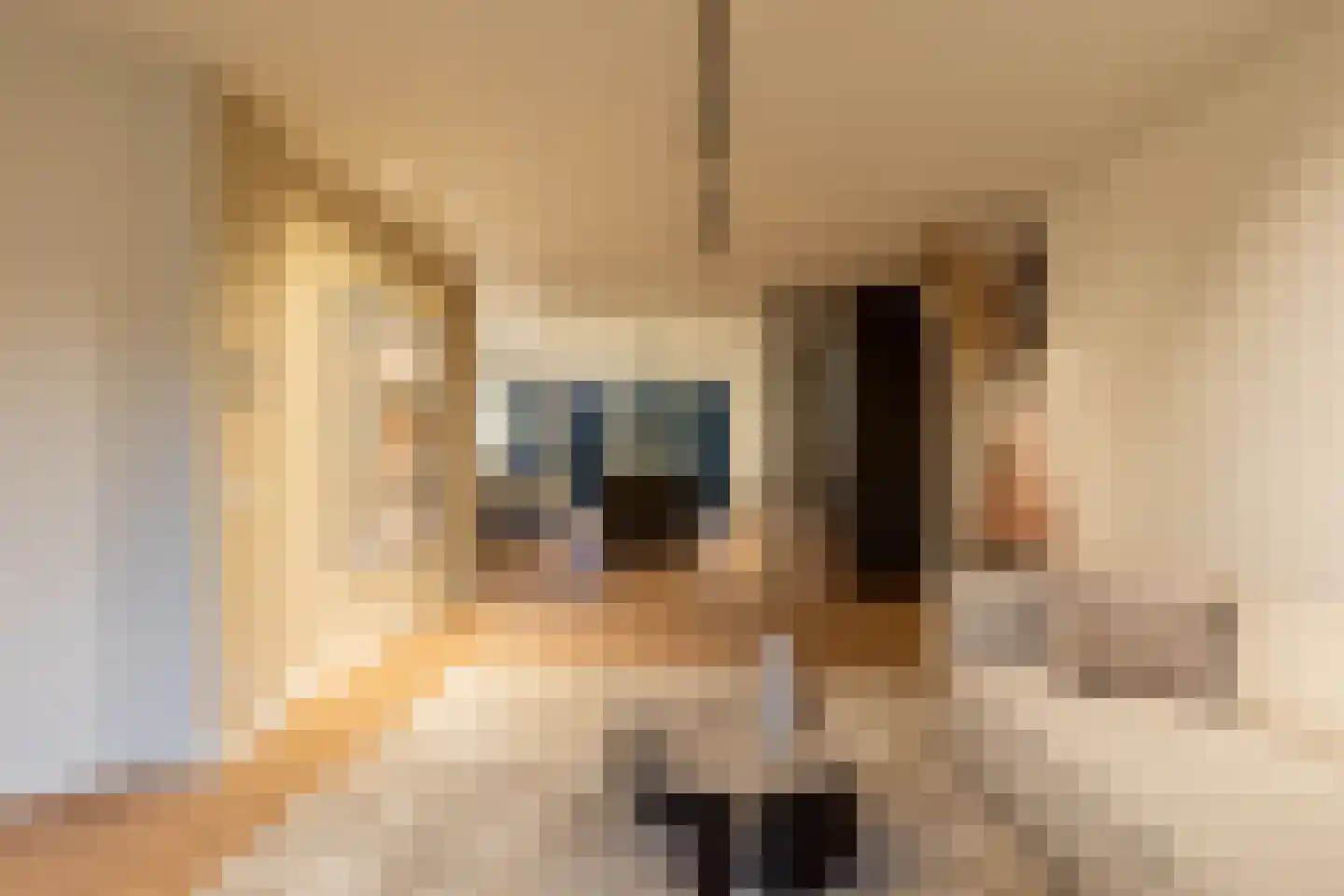 Borssenburg 3 Amstelveen thumbnail 30