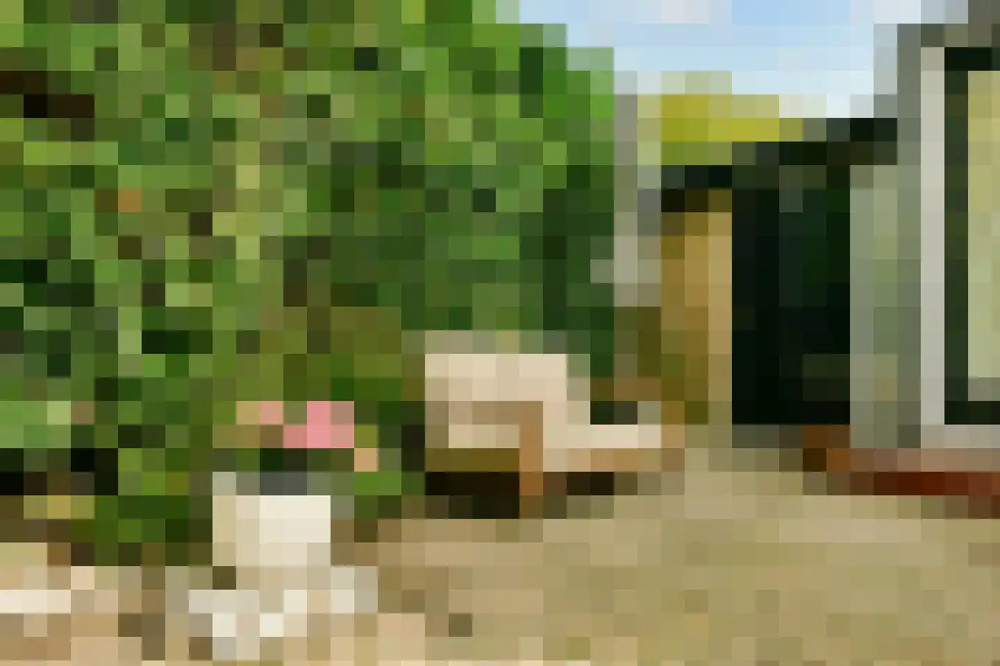 Borssenburg 46 Amstelveen thumbnail 20