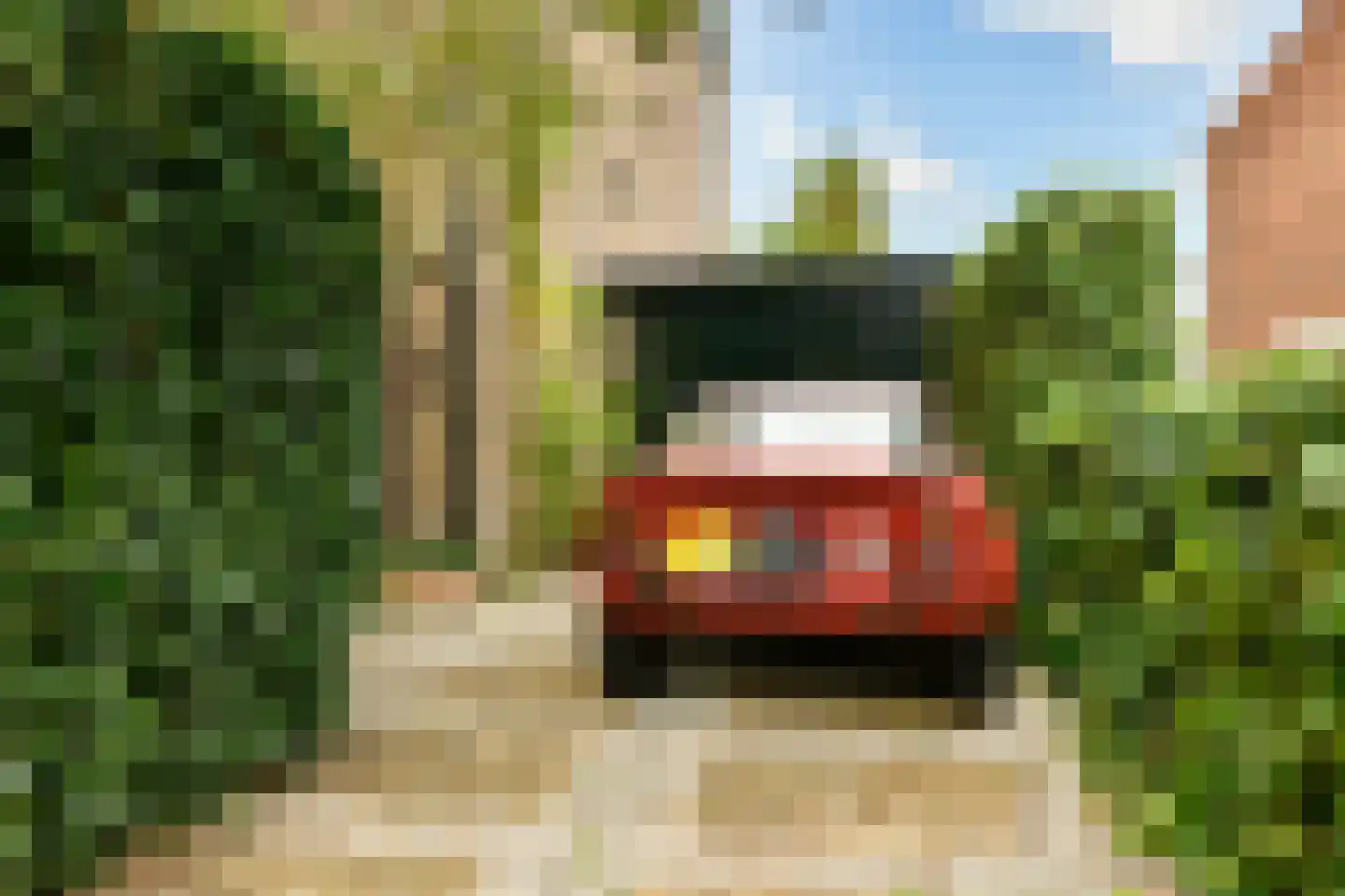 Borssenburg 46 Amstelveen thumbnail 4
