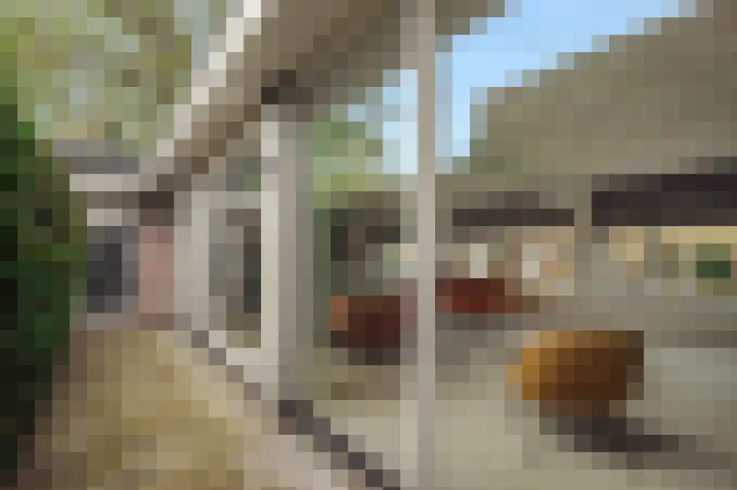 Borssenburg 51 Amstelveen thumbnail 20