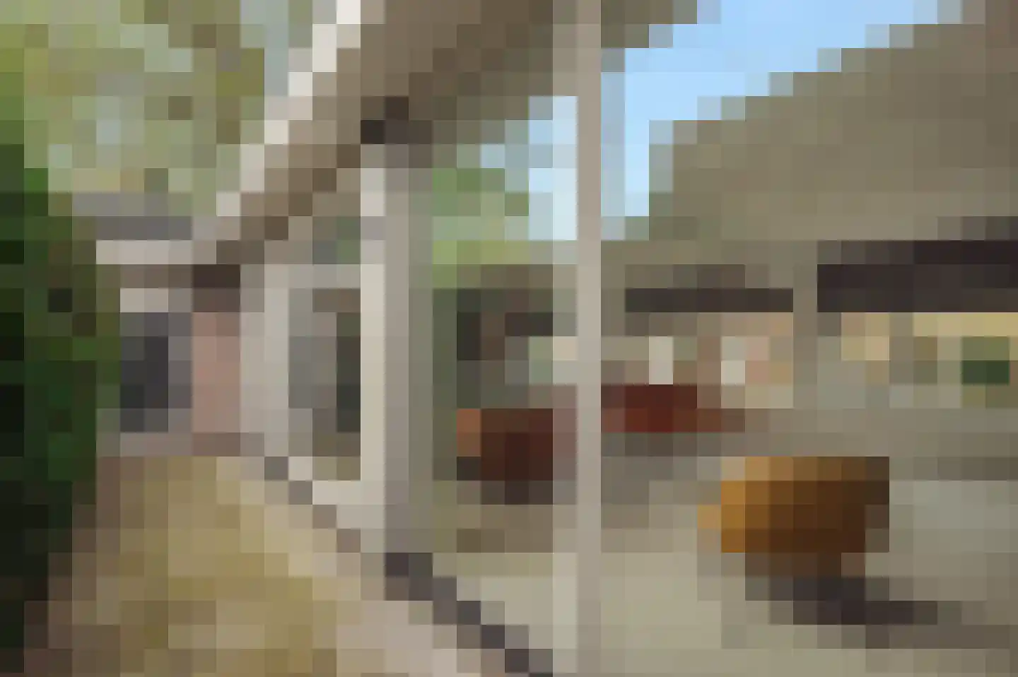 Borssenburg 51 Amstelveen thumbnail 26