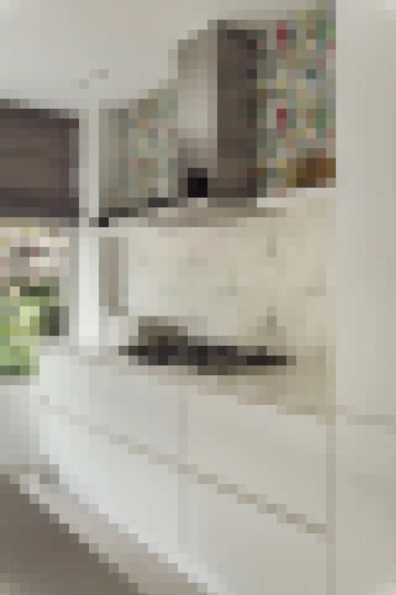 Borssenburg 51 Amstelveen thumbnail 32