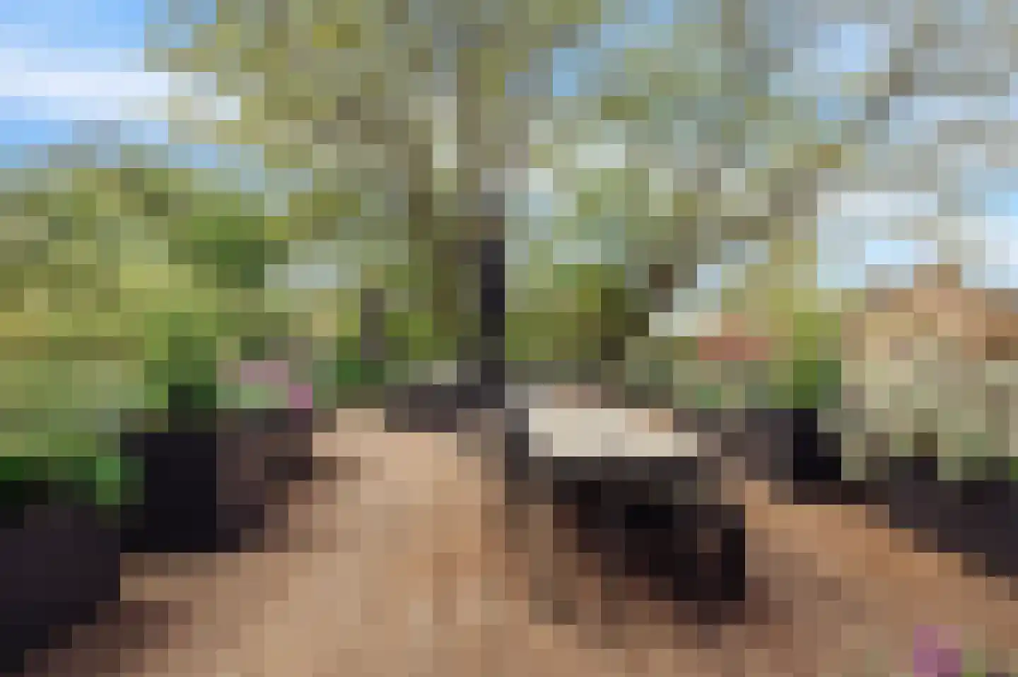 Borssenburg 51 Amstelveen thumbnail 34