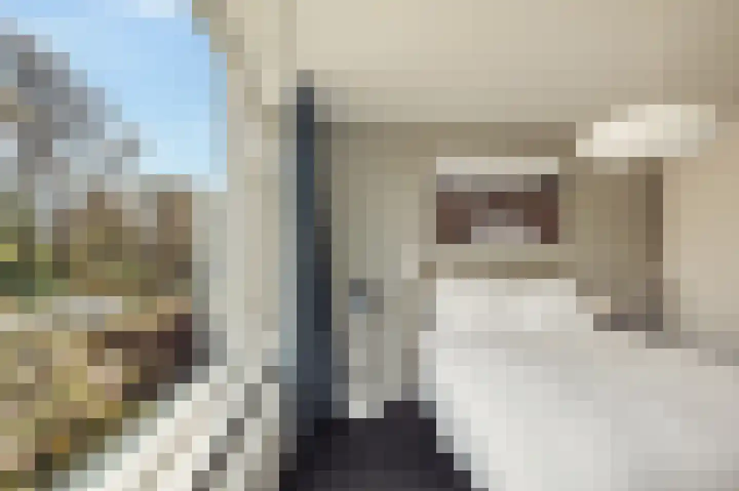 Borssenburg 51 Amstelveen thumbnail 37