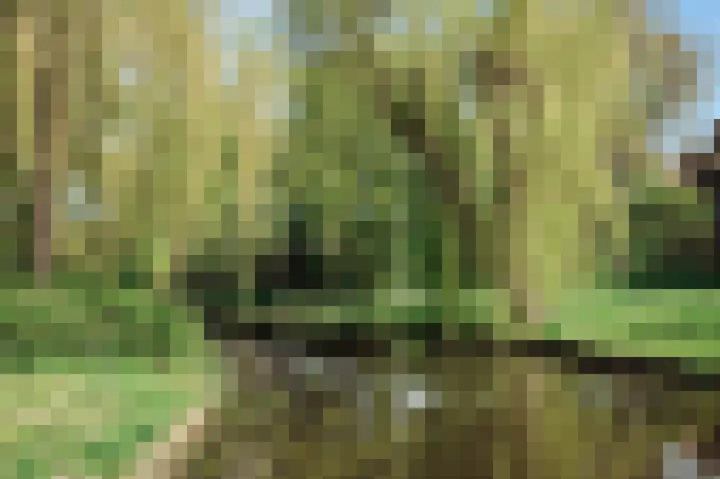 Borssenburg 51 Amstelveen thumbnail 5