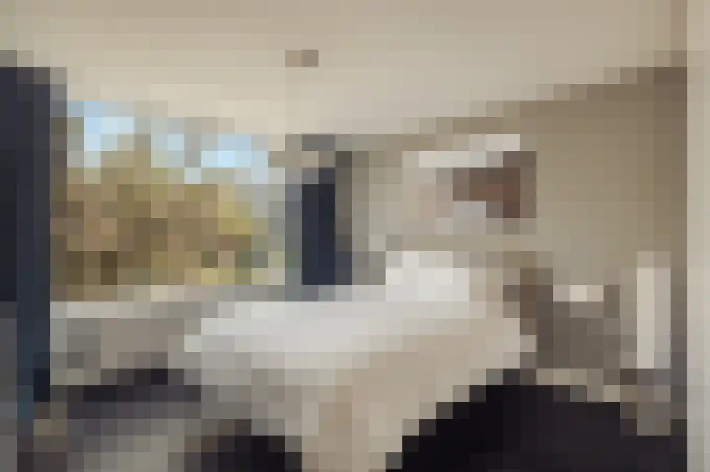 Borssenburg 51 Amstelveen thumbnail 51
