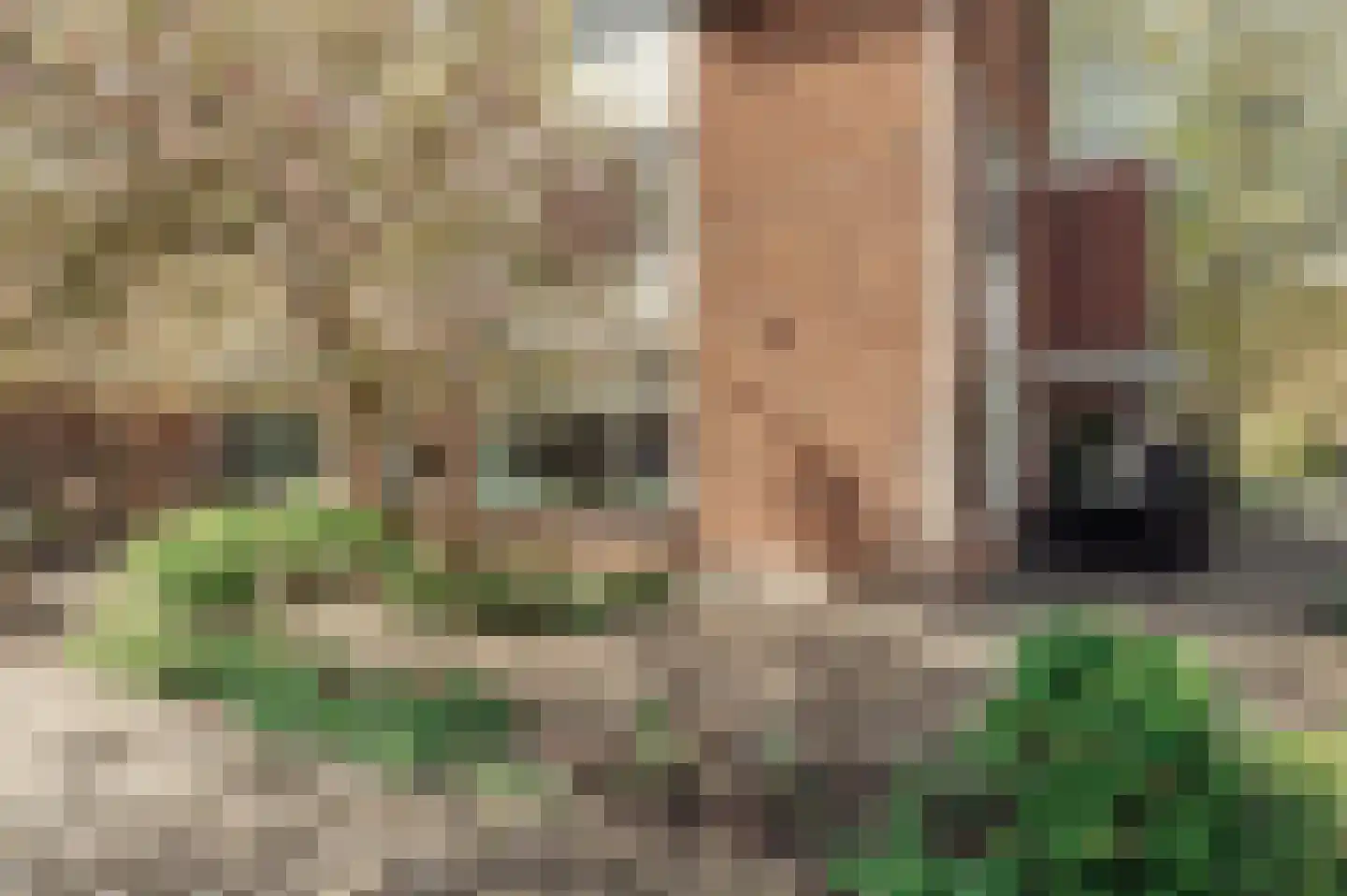 Borssenburg 51 Amstelveen thumbnail 58
