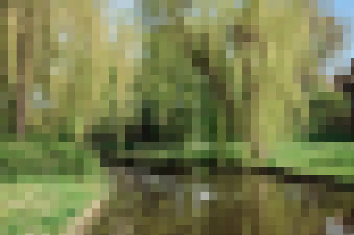 Borssenburg 51 Amstelveen thumbnail 6
