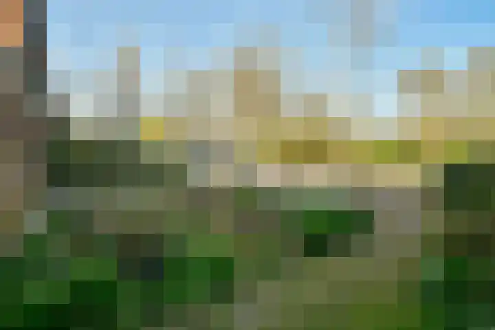 Borssenburg 54 Amstelveen thumbnail 11