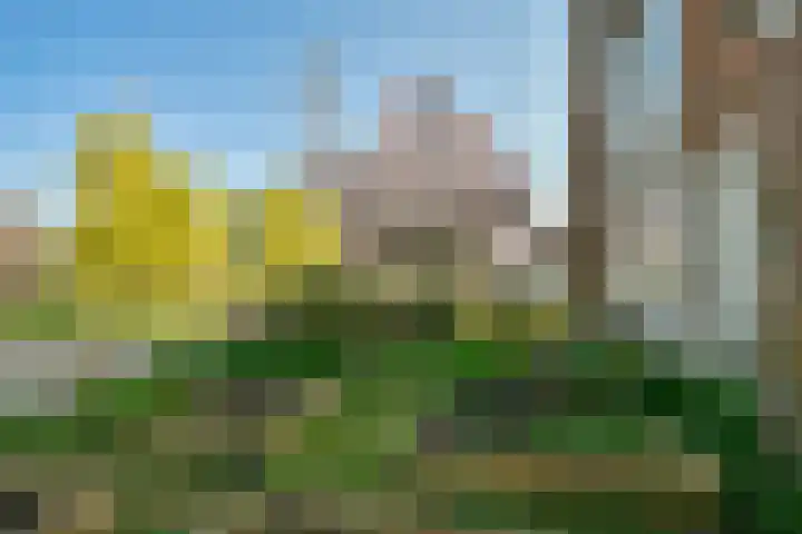 Borssenburg 54 Amstelveen thumbnail 12
