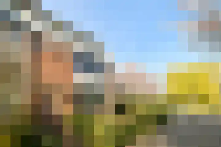 Borssenburg 54 Amstelveen thumbnail 14