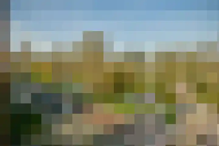 Borssenburg 54 Amstelveen thumbnail 28