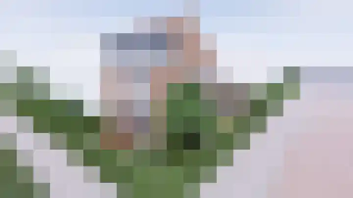 Borssenburg 54 Amstelveen thumbnail 36