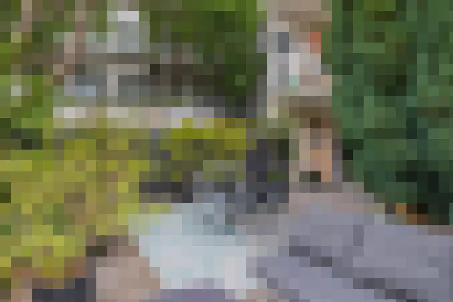 Borssenburgplein 117 Amsterdam thumbnail 16