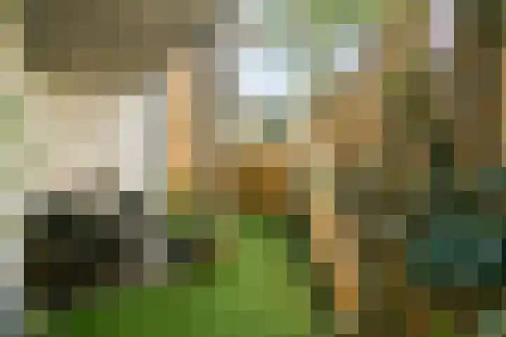 Borssenburgplein 127 Amsterdam thumbnail 18