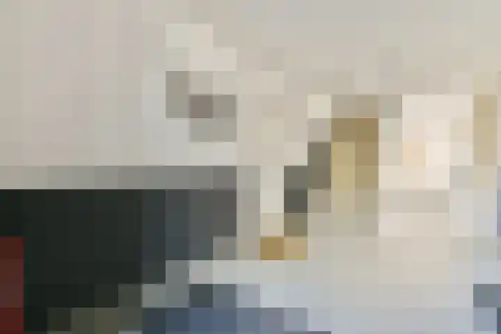Borssenburgplein 127 Amsterdam thumbnail 19