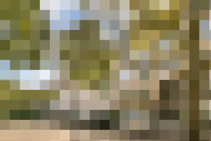 Borssenburgplein 127 Amsterdam thumbnail 22