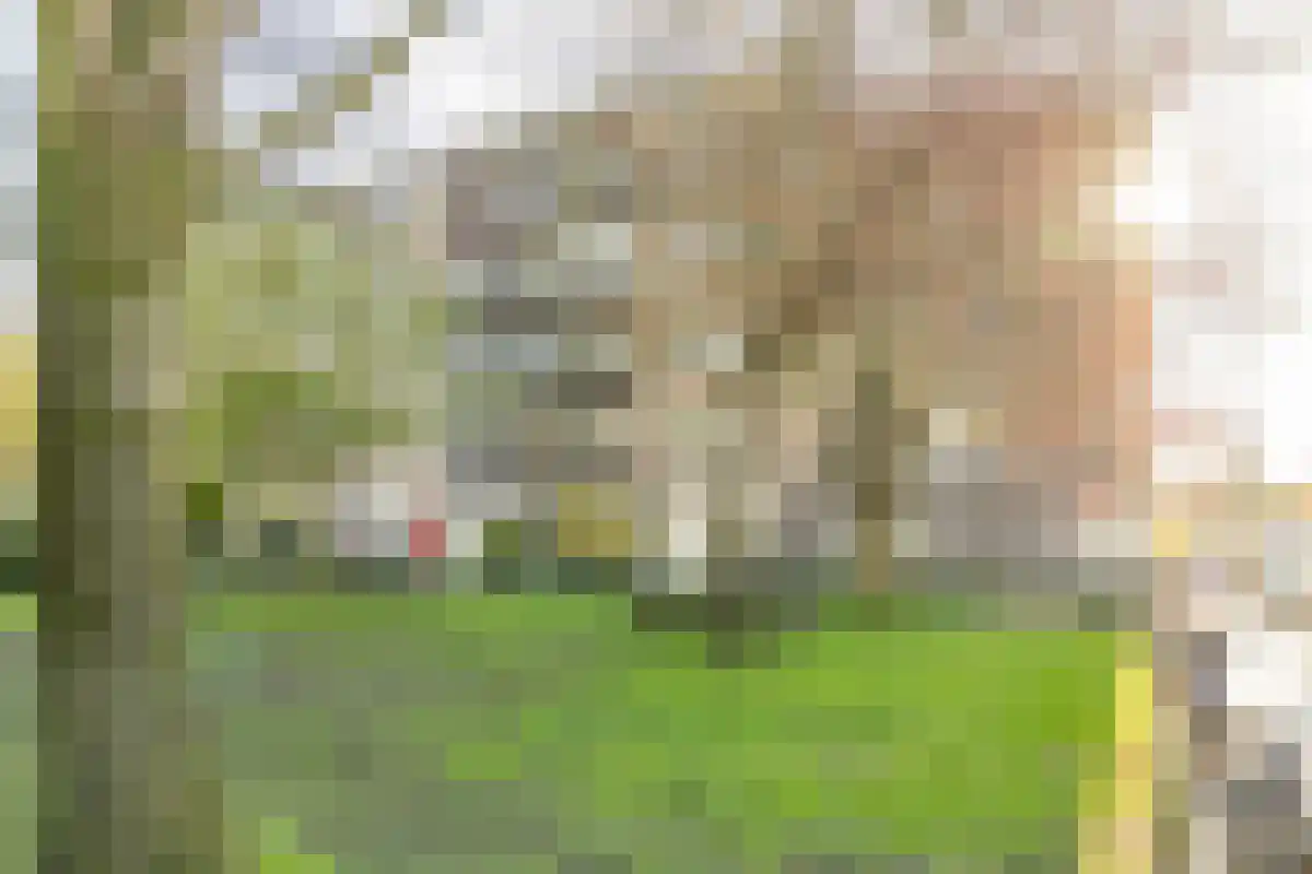 Borssenburgplein Amsterdam thumbnail 4