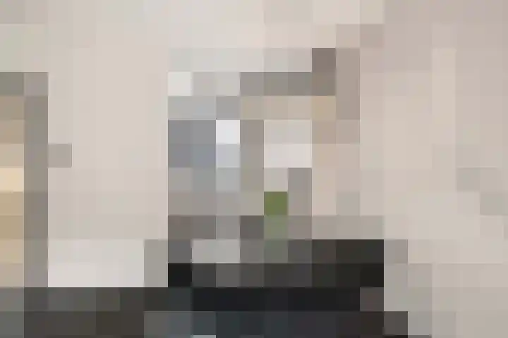 Borstelgras 6 Spijkenisse thumbnail 11