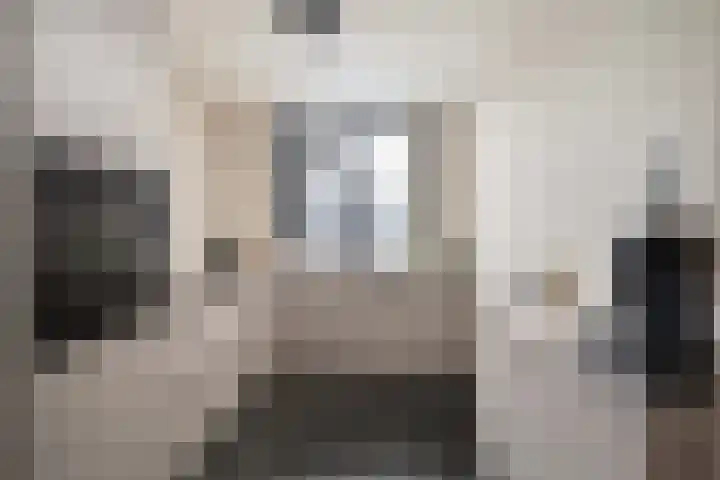 Borstelgras 6 Spijkenisse thumbnail 13