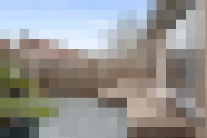 Borstelgras 6 Spijkenisse thumbnail 15