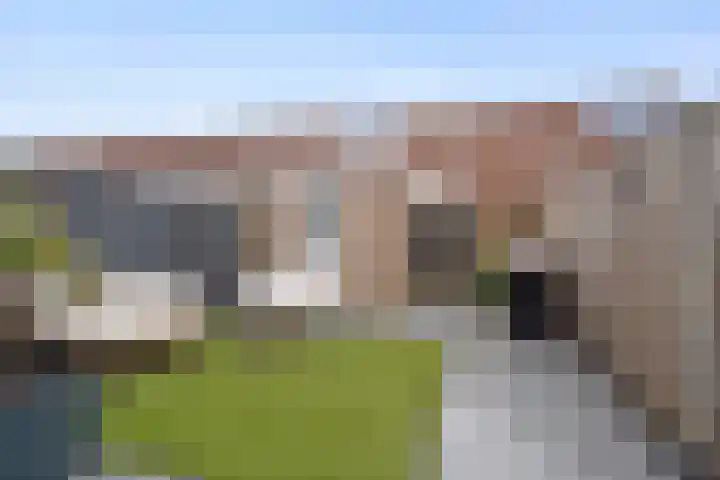 Borstelgras 6 Spijkenisse thumbnail 16