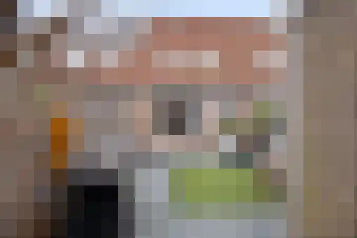 Borstelgras 6 Spijkenisse thumbnail 17