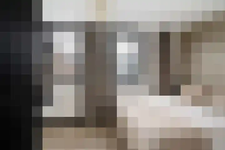 Borstelgras 6 Spijkenisse thumbnail 19