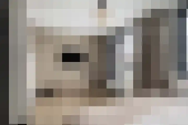 Borstelgras 6 Spijkenisse thumbnail 20