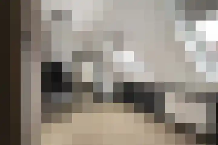 Borstelgras 6 Spijkenisse thumbnail 23