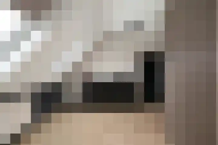 Borstelgras 6 Spijkenisse thumbnail 24
