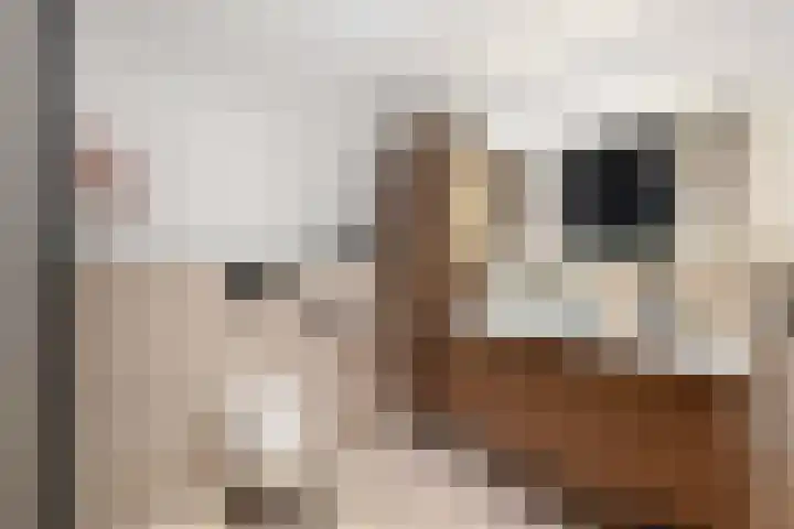 Borstelgras 6 Spijkenisse thumbnail 25