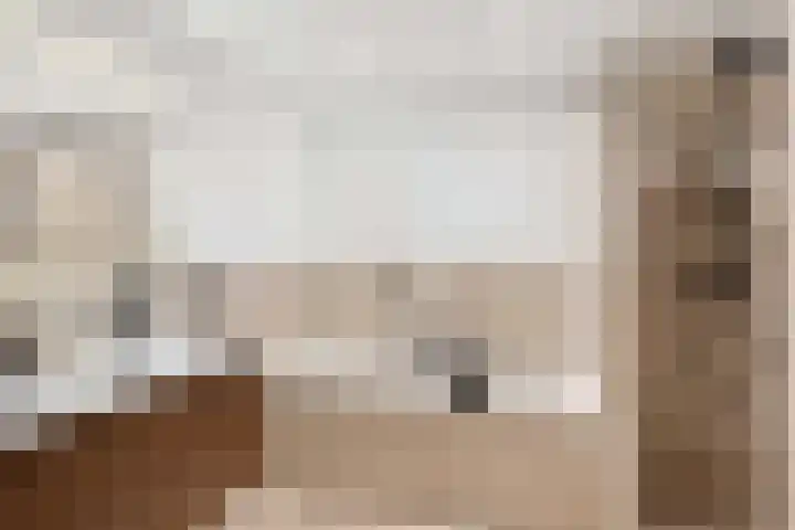 Borstelgras 6 Spijkenisse thumbnail 27