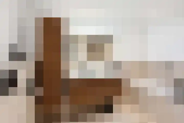 Borstelgras 6 Spijkenisse thumbnail 28