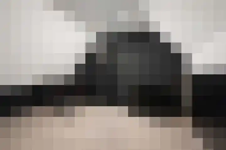 Borstelgras 6 Spijkenisse thumbnail 30