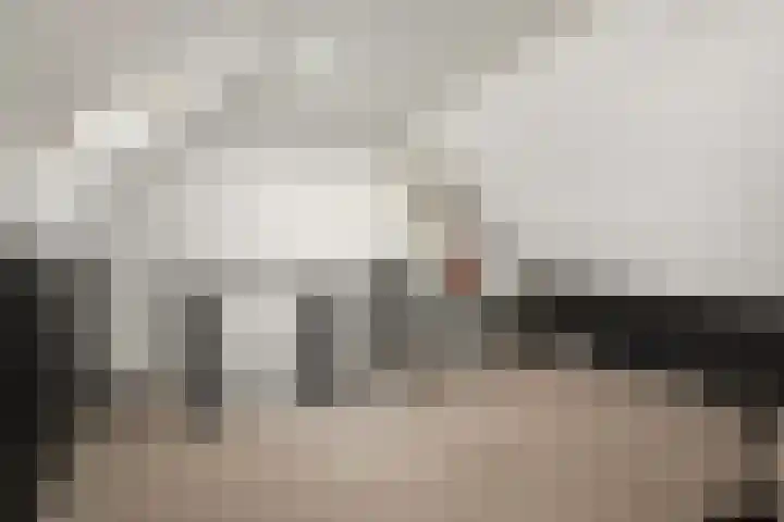 Borstelgras 6 Spijkenisse thumbnail 31