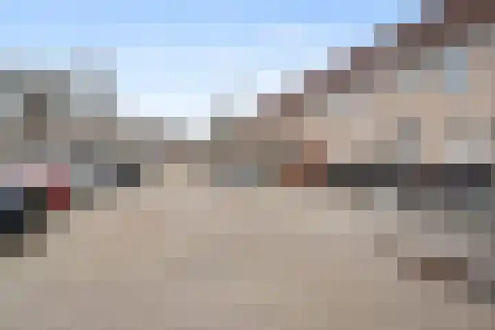 Borstelgras 6 Spijkenisse thumbnail 32