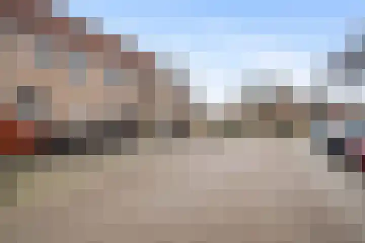 Borstelgras 6 Spijkenisse thumbnail 4