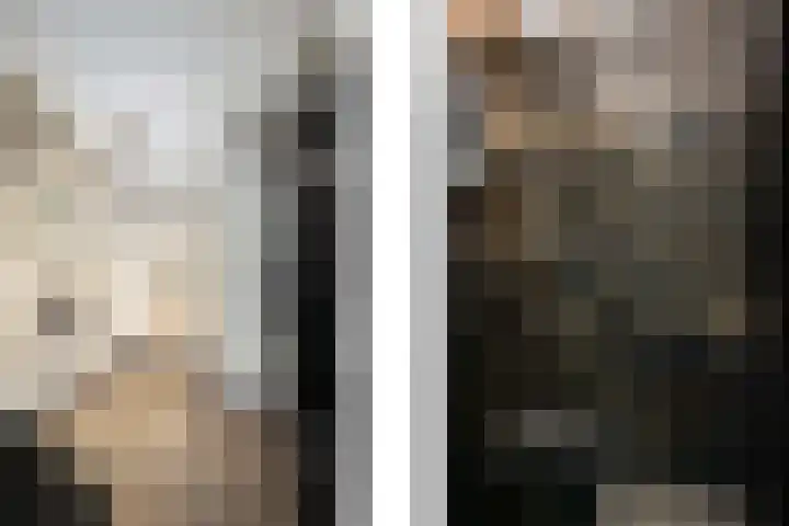 Borstelgras 6 Spijkenisse thumbnail 6