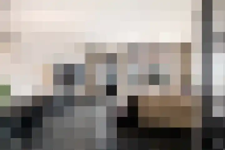Borstelgras 6 Spijkenisse thumbnail 7