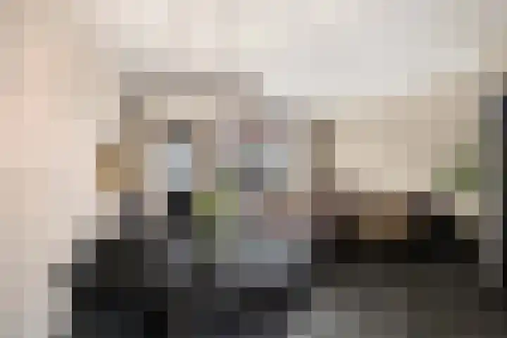 Borstelgras 6 Spijkenisse thumbnail 8
