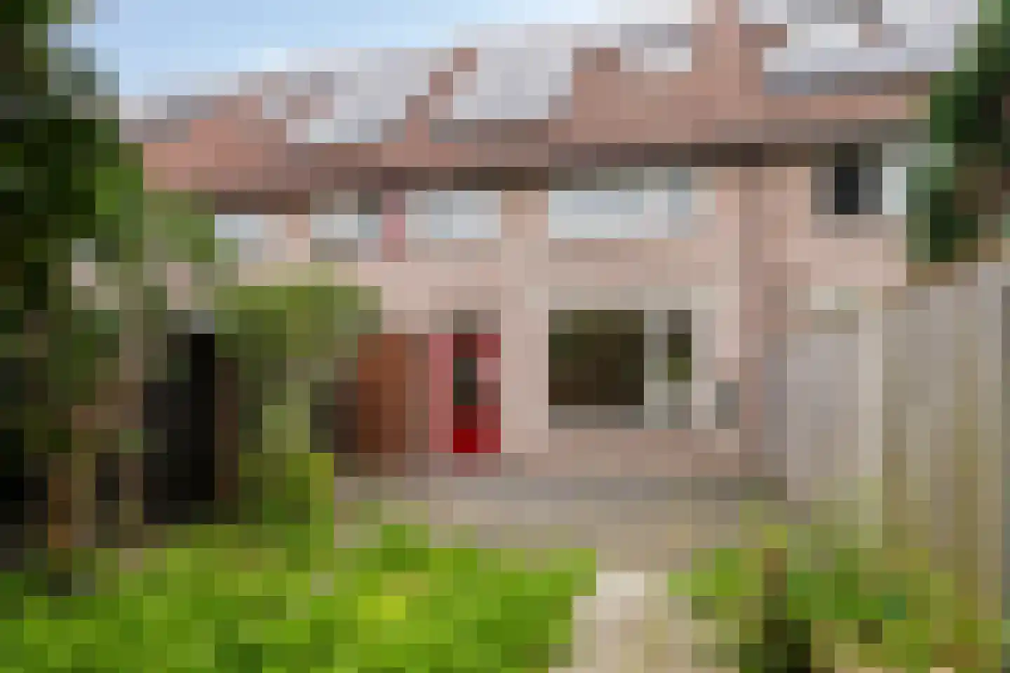 Borstelgrasstraat 32 Almere thumbnail 29