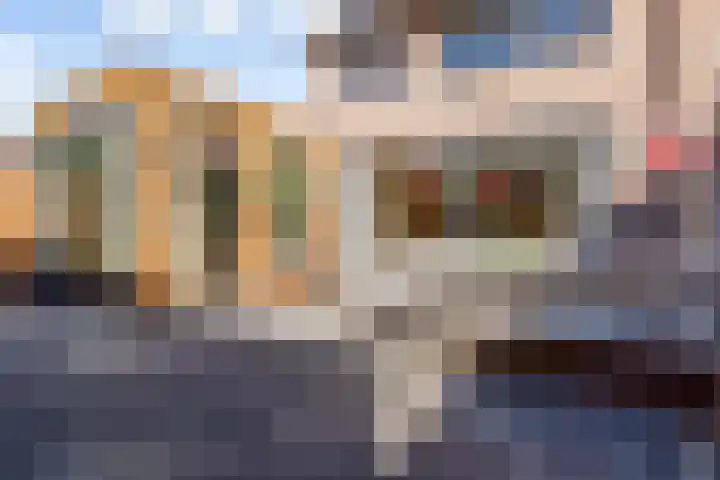 Borstelgrasstraat 33 Almere thumbnail 72